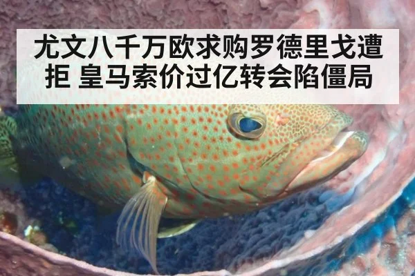 尤文八千万欧求购罗德里戈遭拒 皇马索价过亿转会陷僵局